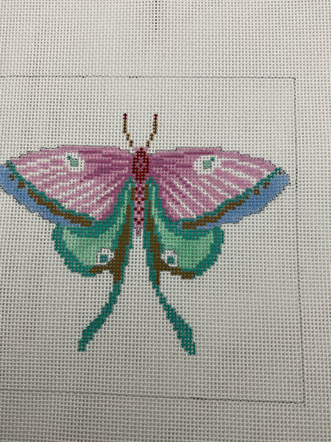 Pink/Green Swallowtail Butterfly