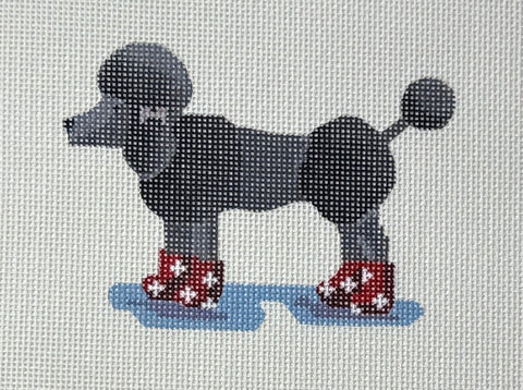 Poodle in Boots