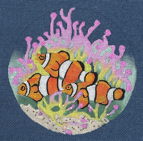Porthole View Clown Fish