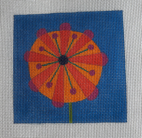 Square Zinnia