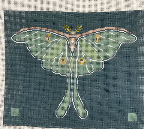 Luna Moth