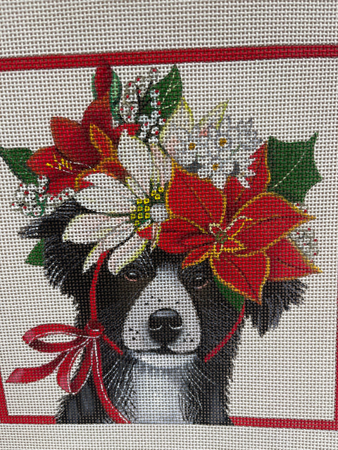 Christmas Crown Border Collie