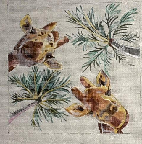 Giraffes Looking Down