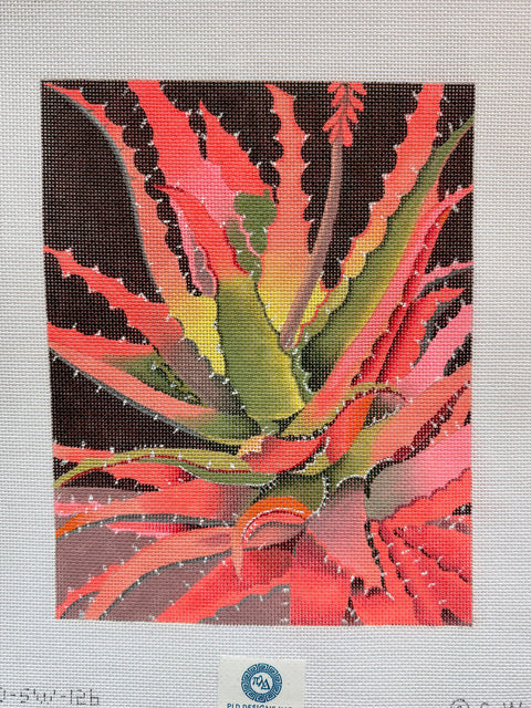Sunset Agave