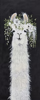 Dollyllama