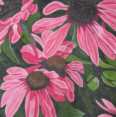 Coneflowers