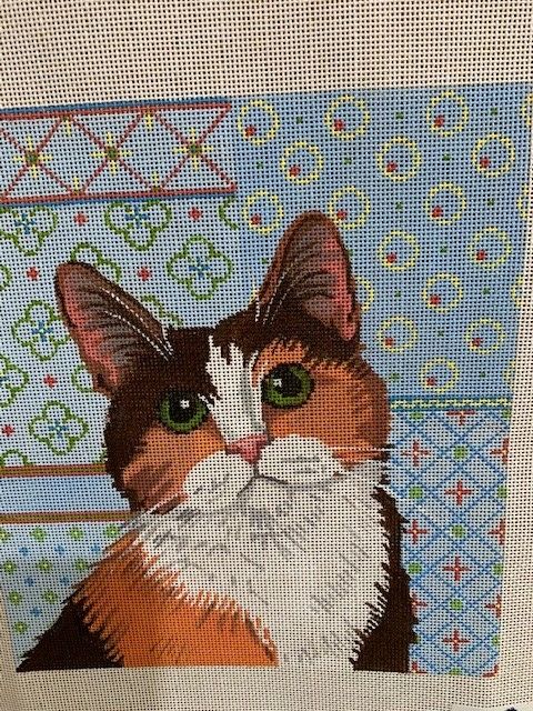 Calico Cat