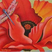 Orange Poppy with Dragonfly