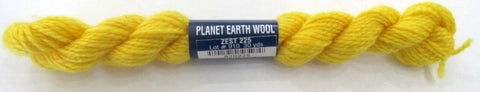 planet earth wool 225 zest