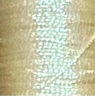 Radiance 13 J-255 Butter Cream