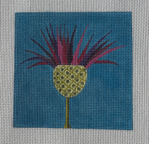 Square Thistle