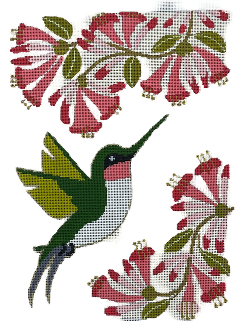 Honeysuckle Hummingbird