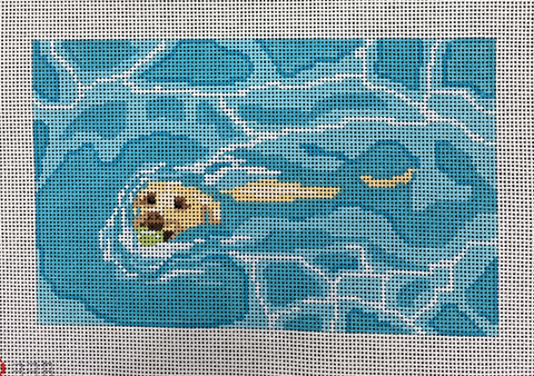 Yellow Labrador Swim