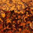 Sequins 6mm SQ128A Pumpkin Shimmer