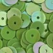 Sequins 6mm SQ146 Pistachio