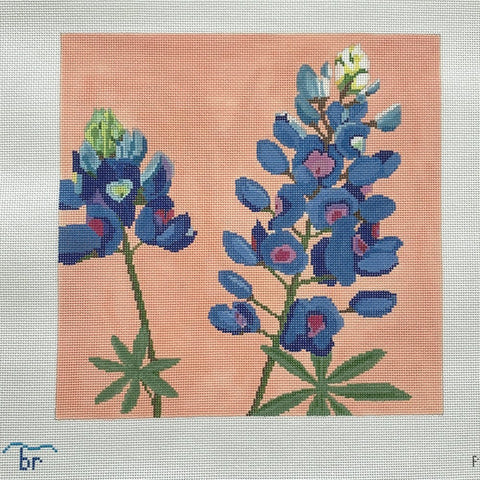 Bluebonnets