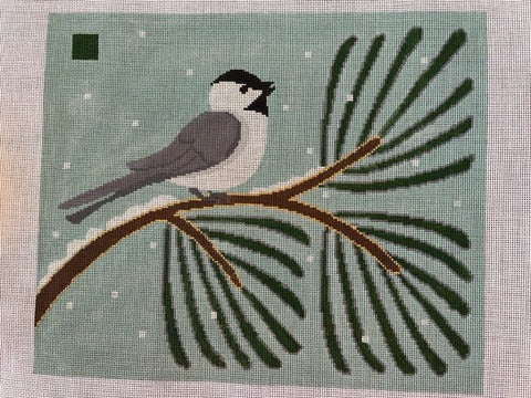 Chickadee Pine