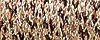 Kreinik Metallic Braid 071 Misty Gold