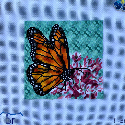 Monarch on Milkweed