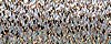 Kreinik Metallic Braid 3202 Cat's Eye