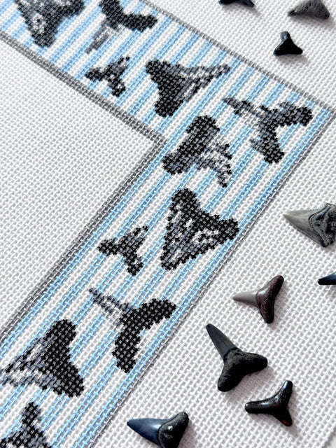 Shark Teeth Frame